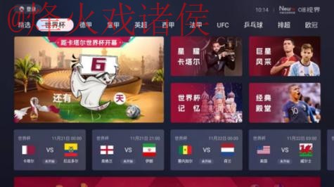 观看世界杯：实时直播官方入口解析